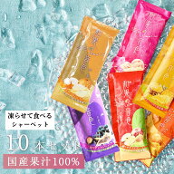 【1000円ポッキリ！】アイス シャーベット アイスクリーム 和果の音色6種10本セット（家庭用） 凍らせて…