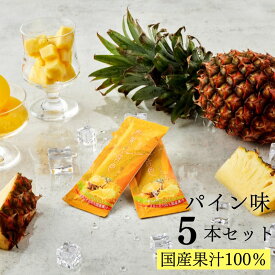 【楽天スーパーSALE10％OFF！】凍らせて食べるシャーベット ｜和果の音色パイン5本セット｜アイス シャーベット アイスクリーム スティック フルーツ 送料無料 ポスト投函 1000円ポッキリ