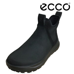 yECCO@SOLICE zGR[@420193 02001 ubN fB[X@V[gu[c EB^[u[c@kobNU[@GORE-TEX h@h@h