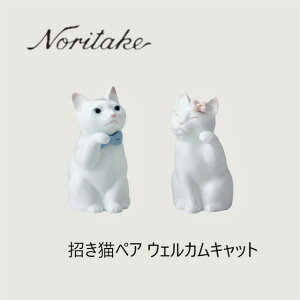 yzm^P Noritakeyu L() yA EFJLbg AC4578/P45556zu ^  킢 GKg  {[`Ci L L ˂ lR EFJLb