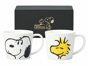  {Xk[s[EbhXgbN re[WX}C yA}OZbg 623750 SNOOPY WOODSTOCK mH  Mtg v[g蕨 i j j