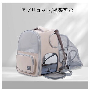 yg\E2WAYzL L[obO  L[ bN g\ybgL[bN y1kg Lp p bN bV ʋC ybgnEX P[W ܂ o h