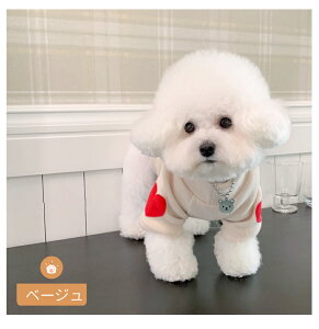   g H~ TVc hbOEFA ^̕ m  Jbg\[ pW} Ci[  Lk Lpp ybg ObY EFA  h ΍ ₦΍ Eѕ