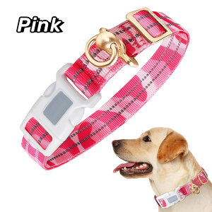 yAirTag\zp  ^ GA^O [   [h t \  y \tg h y v   _炩 q h~ GPS ǐ Dog AirTagpیP[X 