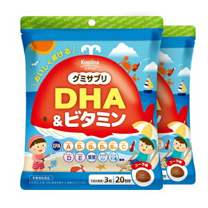 �O�~�T�v�� DHA���r�^�~�� 60�� 2�Z�b�g40���� �y�R�[������ �������� �I���K3 omega-3 �� ���� �t�B�b�V���I�C�� �}���`�r�^�~�� ���ޗ� �q�ǂ� ���N �T�v�� �T�v�������g �h�{�⏕�H�i ���S
