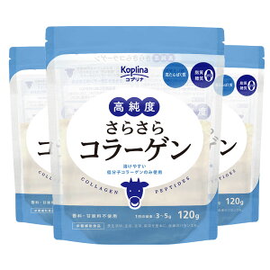 x炳R[Q 120g yx100/RᕪqR[Q/Ȃ/n₷/[/[/Y/F/v[/j[gȖ/z