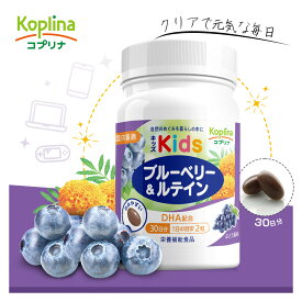 キッズブルーベリー&ルテイン 60粒 30日分【小粒ソフトカプセル ぶどう風味 子育て応援 DHA配合 見る力 子供 健康 サプリ サプリメント 栄養補助食品 安心国内製造 コプリナ 送料無料】