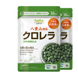 クロレラ 沖縄県石垣島産 300粒 2個60日分【小粒タブレット 葉緑素 ルテイン クロロフィル 食物繊維 鉄 ビタミン 健康 サプリ サプリメント 栄養補助食品 安心国内製造】