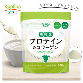 高純度プロテイン＆コラーゲン 120g 1個【WPI/ホエイプロテインアイソレート/無味無臭パウダー/プレーン/アンフレーバー/甘くない/低脂質/糖質ゼロ/コラーゲンペプチド/ちょい足し健康習慣/美容/健康/サプリ】