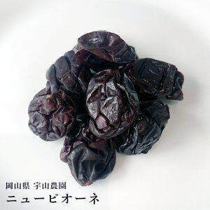 RY j[sI[l Ԃǂ 50g   [Y  uhE mIC hCt[c FR_ i Î_ς 嗱 [YMtg v[gp uhE