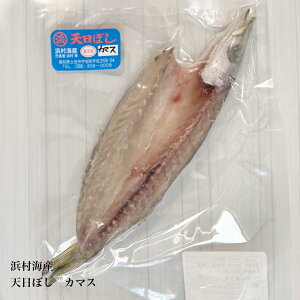 �l���C�Y �V���ڂ� �J�}�X �J������ 1�� ���̏���� ���܂� ���� �Ђ��� �������� �� ���܂� �Ⓚ �J�}�X��t�� ���m�� �{�茧 ���Q���Y �����Y