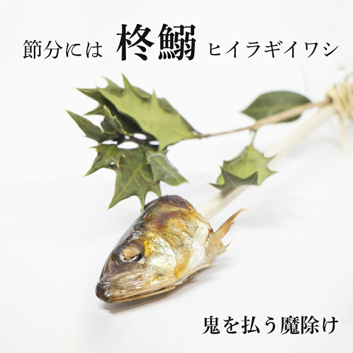 楽天市場 大阪湾産 岸和田漁港 マイワシ 3匹 パック 冷凍 1匹 cm前後 節分 柊鰯 ヒイラギイワシ イワシの頭 魔除け やいかがし やっかがし やいくさし やきさし これええやん店
