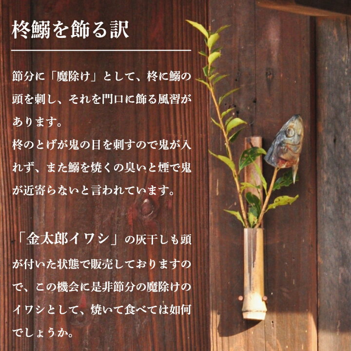 楽天市場 金太郎イワシ 灰干し 大 1枚 冷凍 大阪湾産 岸和田漁港 マイワシ いわし 節分 柊鰯 ヒイラギイワシ イワシの頭 魔除け やいかがし やっかがし やいくさし やきさし これええやん店