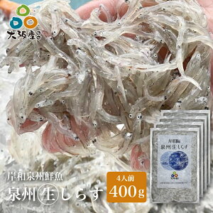 B 炷 400g 4lO Ⓚ  ݘac` ݘaBN VX 炷 Y CN ܂ Ε Mtg 