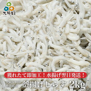 g 炷 2kg rj[  ݘac` ӂ VX p CVt Yij ① Ε Mtg v[g 2024NxVXցIg lꂽđHI