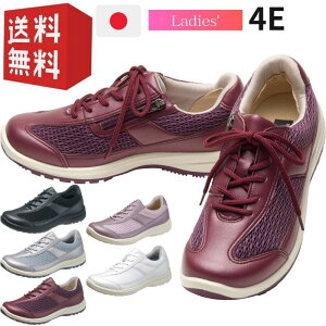 ATqfBJEH[N fB[X p 21.5cm - 25cm L 4E EH[LOV[Y  ^C Ђ̃gu\h G S y ATqV[Y ATqC v[g Mtg 