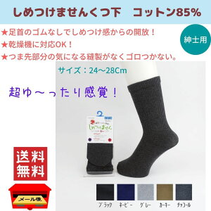 C Y fB[X ߕtȂ  ߂Ȃ  S  SȂ  Lk ߕt C  Mtg v[g 蕨 Rbg85 J[5F