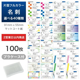 片面 フルカラー 名刺 作成 100枚 名刺印刷 ビジネス 送料無料 格安 早い