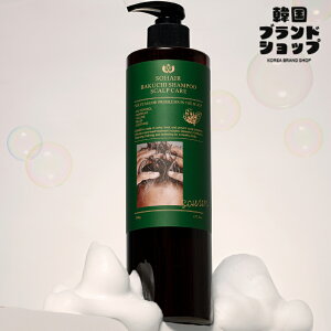 ySOHAIRzoN` Vv[ XJv PA 500g wAPA Vv[ g[gg wAX R~ ̖ TT Zbg e