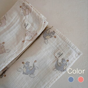 ypeekaboo-blanketz Dinosaur blanket uPbg@K[[Pbg@݁@ j̎q@̎q@oYj@@؍G