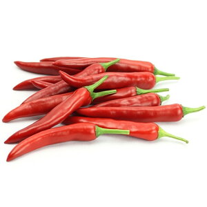 [؍A]@Ԑhq@500gi؍HiA؁jVN ؍Y   ؍ X[v X` [