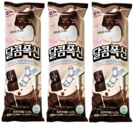 チョコマシュマロ 韓国 串チョコマシュマロ35g×3個セット