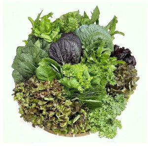 ؍Y@Tp~bNX؁i7ށj1kg@\񔭑@y؍①z@VN̂܂