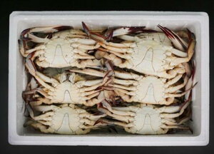 [100% ʂۏ] v~A ؍Y C ؓ@ JWPW^Kjp ^Kj } Ⓚ ^KjAxMۏ ^Kji3kg@12Cj1