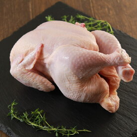 チキン グリラー（鳥の丸焼き用生肉）鶏肉 (1kgサイズ) 　ハラル　Whole Chicken Griller Halal SKU304