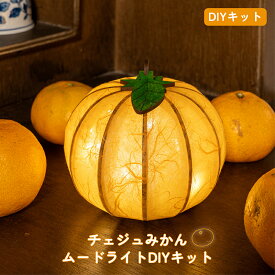 91-1 株式会社コぺ COPE Corporation DIY みかんムードライトキット DIYキット ムードライト作り みかんムードライト みかんランプ 癒しの照明 済州島 済州島おみやげ ヒーリングアイテム 自分だけの 手作り照明 ワイヤレスライト 趣味の時間 部屋デコ おうちカフェ雑貨