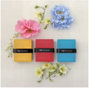 Wish Formula I[}C{fBo[ 3 {fBXNu {fBEHbV tOX {fBPA fC[ PA ȒP gp [EFCXg ؍RX ؍{fBPA v[g Mtg