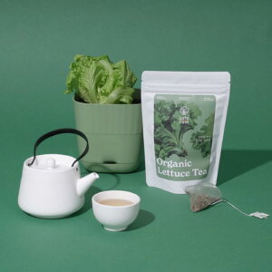 14-04 Z[tPARA SafeCareI[KjbN^XeB[ 0.5g 10pbNZbg bNX^C QO eB[ I[KjbNeB[ Mtg mJtFC v[g ؍ ΂ 