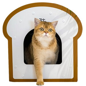 fUCX|bg ZOODINCAT DESIGN `RHp XNb`[t nEX MTCY L L  B ybgnEX LbgnEX 킢 CeA G ؍CeA 