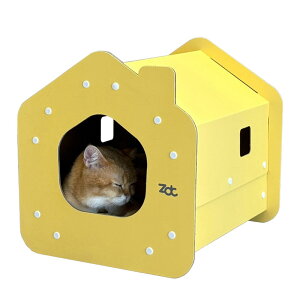 fUCX|bg ZOODINCAT DESIGN [[Lbg505 XNb`[ nEX L L  B ybgnEX LbgnEX 킢 CeA G ؍CeA ybg