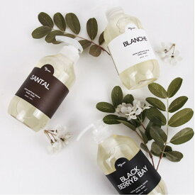 3_78_03 株式会社ネンクムストア ビックグリーン ニッチパフューム バイオーム ボディウォッシュ1000ml 大容量 5種の香り 家族で使える 保湿 アミノ酸系 ボディソープ ギフト おしゃれ プレゼント うるおい フローラル 洋ナシ チューリップ フリージア ベリー系