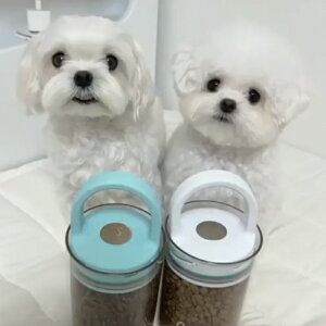 GXbN 10.8 ^ۑe zCg ubN CO t[hXgbJ[ Hiۑ ^bp[ 蓮^ ^b` 􂦂 JԂ Lb` ^ e g h R[q[ ibc V