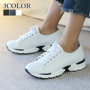 y|Cg5{z3F[XAbvV[Y fB[X V[Y [XAbv Xj[J[ ₷ V[Y fB[X Xj[J[ ҂ݏグ V[Y  Xj[J[ fB[X C