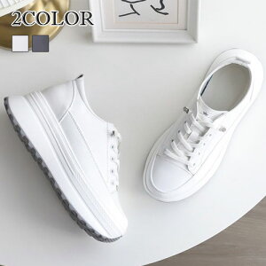 2F{vV[Y wL fB[X  V[Y n [Jbg Xj[J[  fB[X C {v [XAbv Xj[J[ [Jbg Xj[J[ C fB[X V[Y 