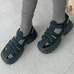 T_ fB[X V[Y Xgbv T_ JWA T_  C   n V[Y OfBG[^[  V[Y  OfBG[^[T_  T_