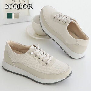 2F[XAbvV[Y fB[X [Jbg Xj[J[ [XAbv V[Y 킢 C  V[Y  V[Y [XAbv Xj[J[ Vv[ C  Xj[