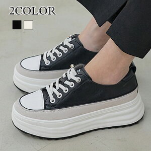 2F{vXj[J[ fB[X  Xj[J[ [XAbv vbgtH[V[Y Xj[J[  [Jbg V[Y wL C  V[Y  C [XAbv[  Xj