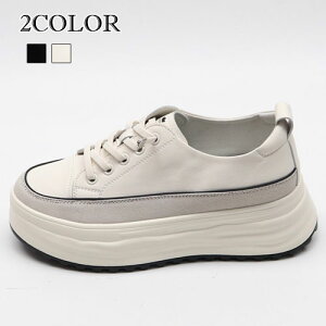 2FV[Y fB[X Xj[J[  [XAbv vbgtH[V[Y  Xj[J[ [Jbg C wL V[Y  C  V[Y [XAbv Xj[J[ 