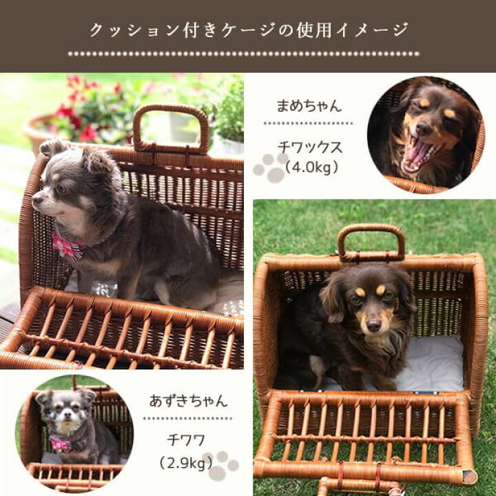 楽天市場】ペットキャリー SSサイズ 専用クッション [単品] | 専用 