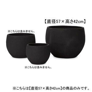 19 {E v^[ | v^[ Aؔ  Jo[ A Vv _K[f K[fjO  vcMUO uR[Wt[ 񂹐A 