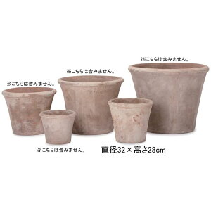 11 eRb^ Eh v^[ | v^[ Aؔ  Jo[ A Vv _K[f K[fjO  vcMUO uR[Wt[ 񂹐A 