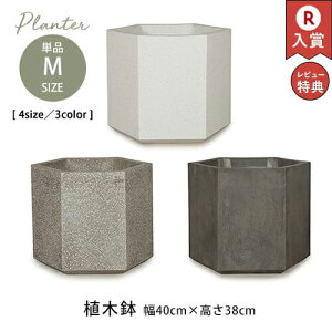 K[f|bg M | Aؔ ^ 40cm 38cm Aؔ  Aؔ v^[ ȐAؔ  Zg v^[ Aؔ  A  ͔| v[g Mtg  K[