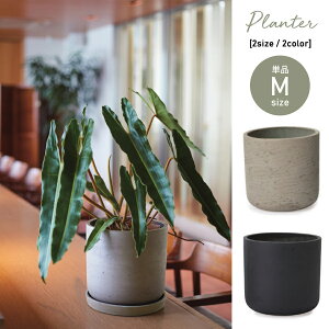 K[f|bg M | K[f|bg |bg  Aؔ v^[Jo[ A  JtF K[fjO 킢 tH O[J[JbZ [|bg 8