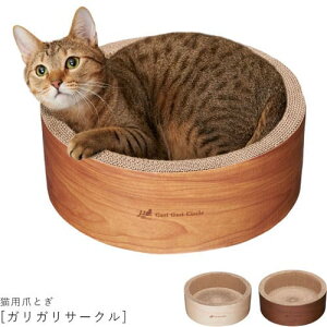 Lp܂Ƃ KKT[N | L ܂Ƃ ܌ lR ߂Ƃ i{[   L i{[ ˂ ܖ Lpi  XNb`[ CeA XgXU _{[ ܂