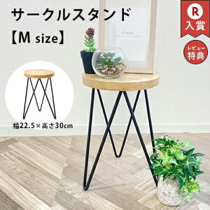 T[NX^h MTCY | t[X^h ؐ K[ft@j`[ K[fjO ԑ X^h u Aؔ | x_K[f ؐX^h TChe[u \t@e[u 