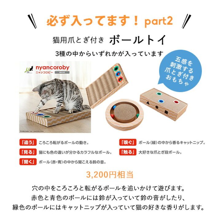 楽天市場】ペット用品 お得な4点セット ネコ用 | ペットキャリー 